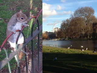 5 lieux incontournables