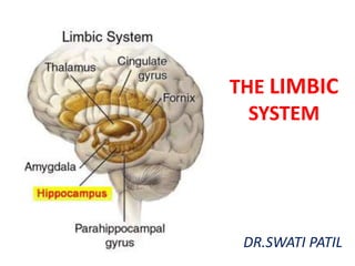THE LIMBIC
  SYSTEM




 DR.SWATI PATIL
 