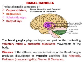 BASAL GANGLIA
The basal ganglia composed of;
 Carpus striatum,
 Rednucleus,
 Substantia nigra
 Body of luys
The basal ganglia plays an important part in the controlling
voluntary reflex & automatic associative movements of the
body.
Diseases of the different nuclear inclusions of the Basal Ganglia
produces disturbance in muscular activities like; Athetosis,
Parkinson (muscular rigidity,) Tremor, & Chorea etc.
 