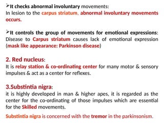 It checks abnormal involuntary movements:
In lesion to the carpus striatum, abnormal involuntary movements
occurs.
It controls the group of movements for emotional expressions:
Disease to Carpus striatum causes lack of emotional expression
(mask like appearance: Parkinson disease)
2. Red nucleus:
It is relay station & co-ordinating center for many motor & sensory
impulses & act as a center for reflexes.
3.Substintia nigra:
it is highly developed in man & higher apes, it is regarded as the
center for the co-ordinating of those impulses which are essential
for the Skilled movements.
Substintia nigra is concerned with the tremor in the parkinsonism.
 