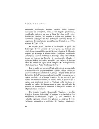 F. C. V. Zanella & C. F. Martins
94
apresentam distribuição disjunta. Quando vários traçados
individuais se sobrepõem, forma-se um traçado generalizado,
considerado indicativo de que a biota das duas regiões teve
distribuição contínua no passado e sofreu um processo de
vicariância (separação em duas populações isoladas), devido ao
surgimento de uma barreira geográfica (ver Croizat et al. 1974,
Morrone & Crisci 1995).
O traçado acima referido é reconhecido a partir da
distribuição de três espécies de Geotrigona, que formam um
possível grupo monofilético de acordo com a hipótese de filogenia
proposta por Camargo & Moure (1996). Geotrigona xanthopoda
Camargo & Moure é endêmica da Caatinga, tendo sido coletada
apenas no interior da Paraíba. G. aequinoctialis (Ducke) é
registrada do leste do Pará ao Maranhão e em enclaves de floresta
úmida no interior da região das Caatingas e G. mattogrossensis
(Ducke) ocorre do Pará a Rondônia e Bolívia.
Esse traçado tem um significado diferente do representado
pela distribuição de grupos associados a regiões xéricas, como o de
Caenonomada (aqui denominado “Caatinga – regiões áridas do sul
da América do Sul” e representado na figura 1b), pois sugere que a
espécie endêmica da Caatinga descende de um ancestral que
ocorria em ambientes distintos, de floresta úmida. É possível que a
espécie que atualmente ocorre na Caatinga tenha habitado, no
passado, um enclave de floresta úmida, e com a intensificação do
processo de aridificação do ambiente e retração da floresta, se
adaptou às novas condições.
Um terceiro traçado, denominado “Caatinga – regiões
desérticas da costa do Pacífico”, é sugerido pela distribuição dos
Rhophitinae sul-americanos (Figura 1c). Essa subfamília de
Halictidae apresenta somente três gêneros na América do Sul:
Ceblurgus, monotípico e endêmico da Caatinga; Goeletapis,
 