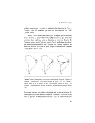 2. Abelhas da Caatinga
95
também monotípico e restrito às regiões áridas da costa do Peru e
Penapis, com três espécies que ocorrem nos desertos do Chile
(Rozen 1997).
Prado (1991) menciona outros dois exemplos que se ajustam
a esse traçado. O gênero Skytanthus (Apocynaceae), que apresenta
somente duas espécies, uma na Caatinga e outra no deserto de
Atacama, no norte do Chile, e o gênero Hyptis seção Leucocephala,
que apresenta três espécies, na Caatinga, nos campos rupestres do
norte da Bahia e na costa do Peru, respectivamente (ver também
Harley 1988). Prado consi-
Figura 1. Traçados biogeográficos documentados para a fauna de abelhas da Caatinga. (a)
“Caatinga – Amazônia SE” (Geotrigona, Camargo & Moure 1996); (b) “Caatinga -
Regiões áridas do sul da América do Sul” (Caenonomada, Zanella, no prelo) e (c)
“Caatinga - Regiões desérticas da costa do Pacífico” (Rophitinae sul-americanos, Rozen
1997).
derou esse traçado enigmático, admitindo até mesmo a hipótese de
uma dispersão recente à longa distância. Entretanto, a diferenciação
entre os gêneros de Rhophitinae reforça a idéia de uma distribuição
 