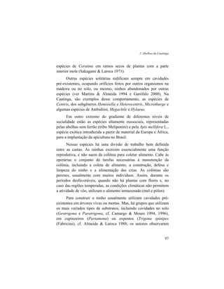 2. Abelhas da Caatinga
97
espécies de Ceratina em ramos secos de plantas com a parte
interior mole (Sakagami & Laroca 1971).
Outras espécies solitárias nidificam sempre em cavidades
pré-existentes, ocupando orifícios feitos por outros organismos na
madeira ou no solo, ou mesmo, ninhos abandonados por outras
espécies (ver Martins & Almeida 1994 e Garófalo 2000). Na
Caatinga, são exemplos desse comportamento, as espécies de
Centris, dos subgêneros Hemisiella e Heterocentris, Microthurge e
algumas espécies de Anthidiini, Megachile e Hylaeus.
Em outro extremo do gradiente de diferentes níveis de
socialidade estão as espécies altamente eussociais, representadas
pelas abelhas sem ferrão (tribo Meliponini) e pela Apis mellifera L.,
espécie exótica introduzida a partir de material da Europa e África,
para a implantação da apicultura no Brasil.
Nessas espécies há uma divisão de trabalho bem definida
entre as castas. As rainhas exercem essencialmente uma função
reprodutiva, e não saem da colônia para coletar alimento. Cabe às
operárias o conjunto de tarefas necessárias à manutenção da
colônia, incluindo a coleta de alimento, a construção, defesa e
limpeza do ninho e a alimentação das crias. As colônias são
perenes, usualmente com muitos indivíduos. Assim, durante os
períodos desfavoráveis, quando não há plantas com flores e, no
caso das regiões temperadas, as condições climáticas não permitem
a atividade de vôo, utilizam o alimento armazenado (mel e pólen).
Para construir o ninho usualmente utilizam cavidades pré-
existentes em árvores vivas ou mortas. Mas, há grupos que utilizam
os mais variados tipos de substratos, incluindo cavidades no solo
(Geotrigona e Paratrigona, cf. Camargo & Moure 1994, 1996),
em cupinzeiros (Partamona) ou expostos (Trigona spinipes
(Fabricius), cf. Almeida & Laroca 1988; os autores observaram
 