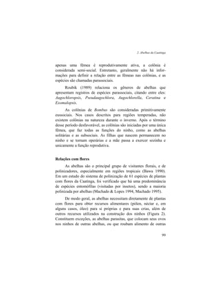 2. Abelhas da Caatinga
99
apenas uma fêmea é reprodutivamente ativa, a colônia é
considerada semi-social. Entretanto, geralmente não há infor-
mações para definir a relação entre as fêmeas nas colônias, e as
espécies são chamadas parassociais.
Roubik (1989) relaciona os gêneros de abelhas que
apresentam registros de espécies parassociais, citando entre eles:
Augochloropsis, Pseudaugochlora, Augochlorella, Ceratina e
Exomalopsis.
As colônias de Bombus são consideradas primitivamente
eussociais. Nos casos descritos para regiões temperadas, não
existem colônias na natureza durante o inverno. Após o término
desse período desfavorável, as colônias são iniciadas por uma única
fêmea, que faz todas as funções do ninho, como as abelhas
solitárias e as subsociais. As filhas que nascem permanecem no
ninho e se tornam operárias e a mãe passa a exercer sozinha e
unicamente a função reprodutiva.
Relações com flores
As abelhas são o principal grupo de visitantes florais, e de
polinizadores, especialmente em regiões tropicais (Bawa 1990).
Em um estudo do sistema de polinização de 61 espécies de plantas
com flores da Caatinga, foi verificado que há uma predominância
de espécies entomófilas (visitadas por insetos), sendo a maioria
polinizada por abelhas (Machado & Lopes 1994, Machado 1995).
De modo geral, as abelhas necessitam diretamente de plantas
com flores para obter recursos alimentares (pólen, néctar e, em
alguns casos, óleo) para si próprias e para suas crias, além de
outros recursos utilizados na construção dos ninhos (Figura 2).
Constituem exceções, as abelhas parasitas, que colocam seus ovos
nos ninhos de outras abelhas, ou que roubam alimento de outras
 