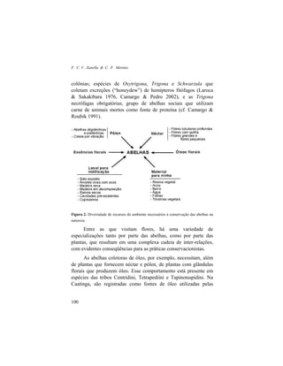 F. C. V. Zanella & C. F. Martins
100
colônias; espécies de Oxytrigona, Trigona e Schwarzula que
coletam excreções (“honeydew”) de hemípteros fitófagos (Laroca
& Sakakibara 1976, Camargo & Pedro 2002), e as Trigona
necrófagas obrigatórias, grupo de abelhas sociais que utilizam
carne de animais mortos como fonte de proteína (cf. Camargo &
Roubik 1991).
Figura 2. Diversidade de recursos do ambiente necessários à conservação das abelhas na
natureza.
Entre as que visitam flores, há uma variedade de
especializações tanto por parte das abelhas, como por parte das
plantas, que resultam em uma complexa cadeia de inter-relações,
com evidentes conseqüências para as práticas conservacionistas.
As abelhas coletoras de óleo, por exemplo, necessitam, além
de plantas que fornecem néctar e pólen, de plantas com glândulas
florais que produzem óleo. Esse comportamento está presente em
espécies das tribos Centridini, Tetrapediini e Tapinotaspidini. Na
Caatinga, são registradas como fontes de óleo utilizadas pelas
 