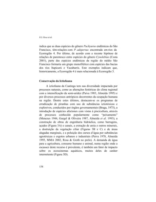 R.S. Rosa et al.
158
indica que as duas espécies do gênero Pachyurus endêmicas do São
Francisco, têm relações com P. adspersus encontrada em rios da
Ecorregião 4. Por último, de acordo com a recente hipótese de
relações de parentesco entre espécies do gênero Cynolebias (Costa
2001), parte das espécies endêmicas da região do médio São
Francisco formaria um grupo monofilético com espécies das bacias
dos rios Itapicurú e Vazabarris. Este exemplos indicam que,
historicamente, a Ecorregião 4 é mais relacionada à Ecorregião 3.
Conservação da Ictiofauna
A ictiofauna da Caatinga tem sua diversidade impactada por
processos naturais, como as alterações históricas do clima regional
com a intensificação da semi-aridez (Paiva 1983, Almeida 1995) e
por diversos processos antrópicos decorrentes da ocupação humana
na região. Dentre estes últimos, destacam-se os programas de
erradicação de piranhas com uso de substâncias ictiotóxicas e
explosivos, conduzidos por órgãos governamentais (Braga, 1975), a
introdução de espécies alóctones com vistas à piscicultura, através
de processos conhecido popularmente como “peixamento”
(Menezes 1944, Gurgel & Oliveira 1987, Almeida et al. 1993), a
construção de obras de engenharia hidráulica, como barragens,
açudes (Figura 3A) e canais, a extração de areia e outros minerais,
a destruição da vegetação ciliar (Figuras 3B e C) e de áreas
alagadas marginais, e a poluição dos cursos d’água por substâncias
agrotóxicas e esgotos urbanos e industriais (Paiva 1978, Almeida
1995, MMA 2002, Rosa & Groth no prelo). A demanda de água
para a agricultura, consumo humano e animal, numa região onde a
escassez deste recurso é prevalente, é também um fator de impacto
sobre os ecossistemas aquáticos, muitos deles de caráter
intermitente (Figura 3D).
 