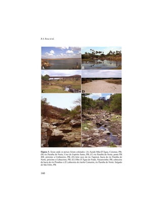 R.S. Rosa et al.
160
Figura 3. Áreas onde os peixes foram coletados. (A) Açude Mãe-D’Água, Coremas, PB;
(B) rio Paraíba do Norte, Cruz do Espírito Santo, PB; (C) rio Paraíba do Norte, ponte PB
408, próximo a Umbuzeiro, PB; (D) leito seco do rio Taperoá, bacia do rio Paraíba do
Norte, próximo a Cabaceiras, PB; (E) Olho D’Água do Frade, Nazarezinho, PB, cabeceira
da bacia do rio Piranhas e (F) cabeceira do riacho Camurim, rio Paraíba do Norte, Salgado
do São Félix, PB.
A
DC
FE
B
 