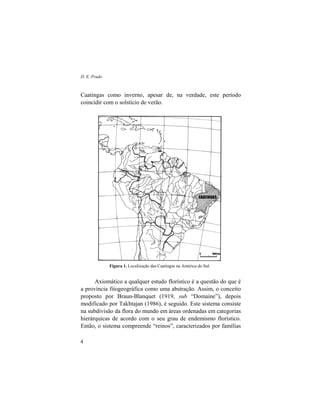 D. E. Prado
4
Caatingas como inverno, apesar de, na verdade, este período
coincidir com o solstício de verão.
Figura 1. Localização das Caatingas na América do Sul.
Axiomático a qualquer estudo florístico é a questão do que é
a província fitogeográfica como uma abstração. Assim, o conceito
proposto por Braun-Blanquet (1919, sub “Domaine”), depois
modificado por Takhtajan (1986), é seguido. Este sistema consiste
na subdivisão da flora do mundo em áreas ordenadas em categorias
hierárquicas de acordo com o seu grau de endemismo florístico.
Então, o sistema compreende “reinos”, caracterizados por famílias
 
