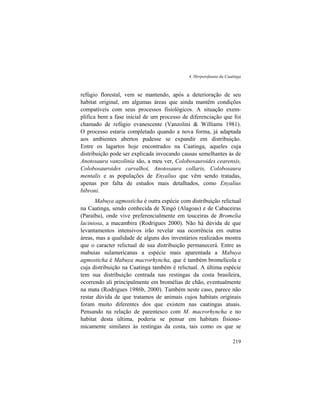4. Herpetofauna da Caatinga
219
refúgio florestal, vem se mantendo, após a deterioração de seu
habitat original, em algumas áreas que ainda mantêm condições
compatíveis com seus processos fisiológicos. A situação exem-
plifica bem a fase inicial de um processo de diferenciação que foi
chamado de refúgio evanescente (Vanzolini & Williams 1981).
O processo estaria completado quando a nova forma, já adaptada
aos ambientes abertos pudesse se expandir em distribuição.
Entre os lagartos hoje encontrados na Caatinga, aqueles cuja
distribuição pode ser explicada invocando causas semelhantes às de
Anotosaura vanzolinia são, a meu ver, Colobosauroides cearensis,
Colobosauroides carvalhoi, Anotosaura collaris, Colobosaura
mentalis e as populações de Enyalius que vêm sendo tratadas,
apenas por falta de estudos mais detalhados, como Enyalius
bibroni.
Mabuya agmosticha é outra espécie com distribuição relictual
na Caatinga, sendo conhecida de Xingó (Alagoas) e de Cabaceiras
(Paraíba), onde vive preferencialmente em touceiras de Bromelia
laciniosa, a macambira (Rodrigues 2000). Não há dúvida de que
levantamentos intensivos irão revelar sua ocorrência em outras
áreas, mas a qualidade de alguns dos inventários realizados mostra
que o caracter relictual de sua distribuição permanecerá. Entre as
mabuias sulamericanas a espécie mais aparentada a Mabuya
agmosticha é Mabuya macrorhyncha, que é também bromelícola e
cuja distribuição na Caatinga também é relictual. A última espécie
tem sua distribuição centrada nas restingas da costa brasileira,
ocorrendo ali principalmente em bromélias de chão, eventualmente
na mata (Rodrigues 1986b, 2000). Também neste caso, parece não
restar dúvida de que tratamos de animais cujos habitats originais
foram muito diferentes dos que existem nas caatingas atuais.
Pensando na relação de parentesco com M. macrorhyncha e no
habitat desta última, poderia se pensar em habitats fisiono-
micamente similares às restingas da costa, tais como os que se
 