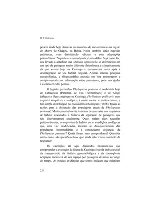 M. T. Rodrigues
220
podem ainda hoje observar em manchas de areias brancas na região
de Morro do Chapéu, na Bahia. Neles também estão espécies
endêmicas, com distribuição relictual e com adaptações
psamofílicas. Tropidurus cocorobensis, é uma delas. Seja como for,
sou levado a acreditar que Mabuya agmosticha se diferenciou em
um tipo de paisagem muito diferente fisionômica e climaticamente
da que vemos hoje na Caatinga e permaneceu nesta após a
desintegração de seu habitat original. Apenas intensa pesquisa
autoecológica, e filogeográfica apoiada em boa amostragem e
complementada por informação sobre parentesco, pode nos ajudar
a esclarecer estes pontos.
O lagarto geconídeo Phyllopezus periosus é conhecido hoje
de Cabaceiras (Paraíba), de Exú (Pernambuco) e de Xingó
(Alagoas). Seu congênere na Caatinga, Phyllopezus pollicaris, com
o qual é simpátrico e sintópico, é muito menor, é muito comum, e
tem ampla distribuição no ecossistema (Rodrigues 1986b). Quais as
razões para a disjunção das populações atuais de Phyllopezus
periosus? Muito possivelmente também devem estar em requisitos
de habitat associados à história da separação de paisagens que
não discriminamos atualmente. Quais teriam sido, naqueles
paleoambientes, os requisitos de habitat ou as condições ecológicas
que, uma vez modificadas, levaram ao desaparecimento das
populações intermediárias e à conseqüente disjunção de
Phyllopezus periosus? Quais foram seus competidores? Questões
como essas, são questões-chave que ainda não temos condição de
responder.
Os exemplos até aqui discutidos mostram-nos que
compreender a evolução da fauna da Caatinga é tarefa indissociável
da compreensão da história geomorfológica e da conseqüente
ocupação sucessiva de seu espaço por paisagens diversas ao longo
do tempo. As poucas evidências que temos indicam que existiram
 