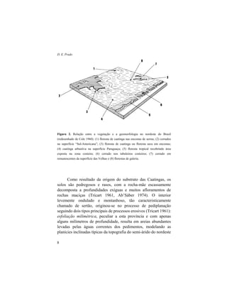 D. E. Prado
8
Figura 2. Relação entre a vegetação e a geomorfologia no nordeste do Brasil
(redesenhado de Cole 1960). (1) floresta de caatinga nas encostas de serras; (2) cerrados
na superfície “Sul-Americana”; (3) floresta de caatinga ou floresta seca em encostas;
(4) caatinga arbustiva na superfície Paraguaçu; (5) floresta tropical recobrindo área
exposta na zona costeira; (6) cerrado nos tabuleiros costeiros; (7) cerrado em
remanescentes da superfície das Velhas e (8) florestas de galeria.
Como resultado da origem do substrato das Caatingas, os
solos são pedregosos e rasos, com a rocha-mãe escassamente
decomposta a profundidades exíguas e muitos afloramentos de
rochas maciças (Tricart 1961, Ab’Sáber 1974). O interior
levemente ondulado e montanhoso, tão caracteristicamente
chamado de sertão, originou-se no processo de pediplanação
seguindo dois tipos principais de processos erosivos (Tricart 1961):
esfoliação milimétrica, peculiar a esta província e com apenas
alguns milímetros de profundidade, resulta em areias abundantes
levadas pelas águas correntes dos pedimentos, modelando as
planícies inclinadas típicas da topografia do semi-árido do nordeste
 