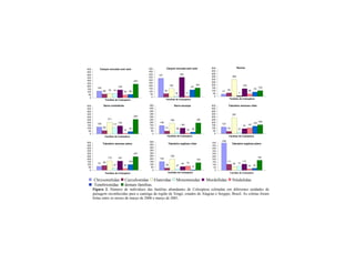 Chrysomelidae Curculionidae Elateridae Monommidae Mordellidae Nitidulidae
Tenebrionidae demais famílias.
Figura 2. Número de indivíduos das famílias abundantes de Coleoptera coletadas em diferentes unidades de
paisagem reconhecidas para a caatinga da região de Xingó, estados de Alagoas e Sergipe, Brasil. As coletas foram
feitas entre os meses de março de 2000 e março de 2001.
120
66 78 75
140
53 60
243
0
50
100
150
200
250
300
350
400
450
500
Famílias de Coleoptera
41
63
302
7
139
46
79
103
0
50
100
150
200
250
300
350
400
450
500
Famílias de Coleoptera
148
51
190
38
105
16 32
195
0
50
100
150
200
250
300
350
400
450
500
Famílias de Coleoptera
337
64
156
18
353
17
131
165
0
50
100
150
200
250
300
350
400
450
500
Famílias de Coleoptera
153
39
195
27
64 75
9
135
0
50
100
150
200
250
300
350
400
450
500
Famílias de Coleoptera
70 85
172
37
167
34
104
247
0
50
100
150
200
250
300
350
400
450
500
Famílias de Coleoptera
126
60
211
117
145
14
43
263
0
50
100
150
200
250
300
350
400
450
500
Famílias de Coleoptera
122
43
287
27
91 107
135
160
0
50
100
150
200
250
300
350
400
450
500
Famílias de Coleoptera
Canyon encosta com solo Canyon encosta sem solo Ravina
Serra contraforte Serra escarpa Tabuleiro arenoso ciliar
Tabuleiro arenoso plano Tabuleiro argiloso ciliar
111
66 73
112
28 36
182
498
0
50
100
150
200
250
300
350
400
450
500
Famílias de Coleoptera
Tabuleiro argiloso plano
 