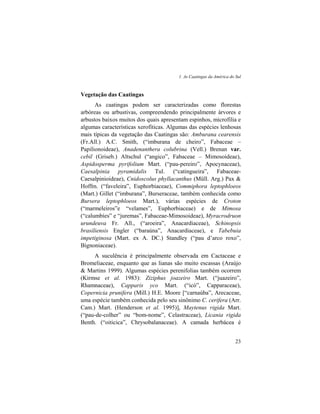 1. As Caatingas da América do Sul
23
Vegetação das Caatingas
As caatingas podem ser caracterizadas como florestas
arbóreas ou arbustivas, compreendendo principalmente árvores e
arbustos baixos muitos dos quais apresentam espinhos, microfilia e
algumas características xerofíticas. Algumas das espécies lenhosas
mais típicas da vegetação das Caatingas são: Amburana cearensis
(Fr.All.) A.C. Smith, (“imburana de cheiro”, Fabaceae –
Papilionoideae), Anadenanthera colubrina (Vell.) Brenan var.
cebil (Griseb.) Altschul (“angico”, Fabaceae – Mimosoideae),
Aspidosperma pyrifolium Mart. (“pau-pereiro”, Apocynaceae),
Caesalpinia pyramidalis Tul. (“catingueira”, Fabaceae-
Caesalpinioideae), Cnidoscolus phyllacanthus (Müll. Arg.) Pax &
Hoffm. (“faveleira”, Euphorbiaceae), Commiphora leptophloeos
(Mart.) Gillet (“imburana”, Burseraceae, também conhecida como
Bursera leptophloeos Mart.), várias espécies de Croton
(“marmeleiros”e “velames”, Euphorbiaceae) e de Mimosa
(“calumbíes” e “juremas”, Fabaceae-Mimosoideae), Myracrodruon
urundeuva Fr. All., (“aroeira”, Anacardiaceae), Schinopsis
brasiliensis Engler (“baraúna”, Anacardiaceae), e Tabebuia
impetiginosa (Mart. ex A. DC.) Standley (“pau d’arco roxo”,
Bignoniaceae).
A suculência é principalmente observada em Cactaceae e
Bromeliaceae, enquanto que as lianas são muito escassas (Araújo
& Martins 1999). Algumas espécies perenifolias também ocorrem
(Kirmse et al. 1983): Ziziphus joazeiro Mart. (“juazeiro”,
Rhamnaceae), Capparis yco Mart. (“icó”, Capparaceae),
Copernicia prunifera (Mill.) H.E. Moore [“carnaúba”, Arecaceae,
uma espécie também conhecida pelo seu sinônimo C. cerifera (Arr.
Cam.) Mart. (Henderson et al. 1995)], Maytenus rigida Mart.
(“pau-de-colher” ou “bom-nome”, Celastraceae), Licania rigida
Benth. (“oiticica”, Chrysobalanaceae). A camada herbácea é
 