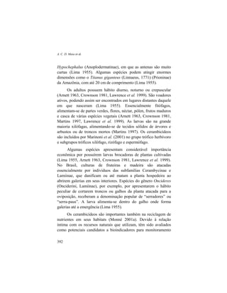 A. C. D. Maia et al.
392
Hypochephalus (Anoplodermatinae), em que as antenas são muito
curtas (Lima 1955). Algumas espécies podem atingir enormes
dimensões como o Titanus giganteus (Linnaeus, 1771) (Prioninae)
da Amazônia, com até 20 cm de comprimento (Lima 1955).
Os adultos possuem hábito diurno, noturno ou crepuscular
(Arnett 1963, Crownson 1981, Lawrence et al. 1999). São voadores
ativos, podendo assim ser encontrados em lugares distantes daquele
em que nasceram (Lima 1955). Essencialmente fitófagos,
alimentam-se de partes verdes, flores, néctar, pólen, frutos maduros
e casca de várias espécies vegetais (Arnett 1963, Crownson 1981,
Martins 1997, Lawrence et al. 1999). As larvas são na grande
maioria xilófagas, alimentando-se de tecidos sólidos de árvores e
arbustos ou de troncos mortos (Martins 1997). Os cerambicídeos
são incluídos por Marinoni et al. (2001) no grupo trófico herbívoro
e subgrupos tróficos xilófago, rizófago e espermófago.
Algumas espécies apresentam considerável importância
econômica por possuírem larvas brocadoras de plantas cultivadas
(Lima 1955, Arnett 1963, Crownson 1981, Lawrence et al. 1999).
No Brasil, culturas de fruteiras e madeira são atacadas
essencialmente por indivíduos das subfamílias Cerambycinae e
Lamiinae, que danificam ou até matam a planta hospedeira ao
abrirem galerias em seus interiores. Espécies do gênero Oncideres
(Onciderini, Lamiinae), por exemplo, por apresentarem o hábito
peculiar de cortarem troncos ou galhos da planta atacada para a
oviposição, receberam a denominação popular de “serradores” ou
“serra-paus”. A larva alimenta-se dentro do galho onde forma
galerias até a emergência (Lima 1955).
Os cerambicídeos são importantes também na reciclagem de
nutrientes em seus habitats (Monné 2001a). Devido à relação
íntima com os recursos naturais que utilizam, têm sido avaliados
como potenciais candidatos a bioindicadores para monitoramento
 