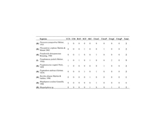 Espécies CCS CSS RAV SCF SEC TAreC TAreP TArgC TArgP Total
(R)
Piezocera araujosilvai Melzer,
1935
2 0 0 0 0 0 0 0 0 2
(R)
Plocaederus confusus Martins &
Monné 2002
0 0 0 1 0 0 1 0 0 2
(R)
Pseudestola densepunctata
Breuning, 1940
0 0 1 0 0 1 0 0 0 2
(I)
Pseudomecas pickeli (Melzer,
1930)
1 0 1 0 1 0 0 2 0 5
(R)
Psygmatocerus wagleri Perty,
1828
1 0 0 0 0 0 1 0 0 2
(R)
Pygmodeon andreae (Germar,
1824)
0 0 0 1 0 1 0 0 0 2
(R)
Recchia abauna Martins &
Galileo, 1998
0 0 0 0 1 0 0 0 0 1
(R)
Rhaphiptera oculata Gounelle,
1908
0 0 0 0 0 1 0 0 0 1
(R) Rhopalophora sp. 0 0 0 0 1 0 0 1 0 2
 