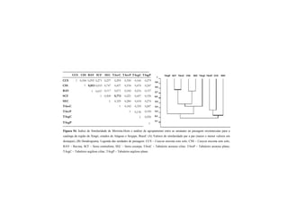 Figura 54. Índice de Similaridade de Morisita-Horn e análise de agrupamento entre as unidades de paisagem reconhecidas para a
caatinga da região de Xingó, estados de Alagoas e Sergipe, Brasil: (A) Valores de similaridade par a par (maior e menor valores em
destaque); (B) Dendrograma. Legenda das unidades de paisagem: CCS – Canyon encosta com solo; CSS – Canyon encosta sem solo;
RAV – Ravina; SCF – Serra contraforte; SEC – Serra escarpa; TAreC – Tabuleiro arenoso ciliar; TAreP – Tabuleiro arenoso plano;
TArgC – Tabuleiro argiloso ciliar; TArgP – Tabuleiro argiloso plano.
0,3
0,8
0,1
1
TArgP SCF CSS RAVTAreC
0,7
SEC
0,5
TAreP
0,4
CCSTArgC
0,9
0,6
0,2
CCS CSS RAV SCF SEC TAreC TAreP TArgC TArgP
CCS 1 0,184 0,295 0,271 0,237 0,295 0,350 0,166 0,279
CSS 1 0,053 0,653 0,747 0,437 0,194 0,476 0,247
RAV 1 0,057 0,117 0,071 0,182 0,216 0,157
SCF 1 0,500 0,773 0,221 0,457 0,336
SEC 1 0,329 0,280 0,418 0,276
TAreC 1 0,182 0,359 0,287
TAreP 1 0,136 0,190
TArgC 1 0,256
TArgP 1
 
