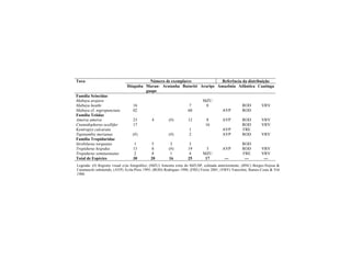 Taxa Número de exemplares Referência da distribuição
Ibiapaba Maran-
guape
Aratanha Baturité Araripe Amazônia Atlântica Caatinga
Família Scincidae
Mabuya arajara MZU
Mabuya heathi 16 7 8 ROD VRV
Mabuya cf. nigropunctata 02 60 AVP ROD
Família Teiidae
Ameiva ameiva 23 4 (#) 12 8 AVP ROD VRV
Cnemidophorus ocellifer 17 16 ROD VRV
Kentropyx calcarata 1 AVP FRE
Tupinambis merianae (#) (#) 2 AVP ROD VRV
Família Tropiduridae
Strobilurus torquatus 1 5 3 3 ROD
Tropidurus hispidus 13 8 (#) 19 3 AVP ROD VRV
Tropidurus semitaeniatus 2 8 1 4 MZU FRE VRV
Total de Espécies 30 20 16 25 17 --- --- ---
Legenda: (#) Registro visual e/ou fotográfico; (MZU) Amostra extra do MZUSP, coletada anteriormente; (BNC) Borges-Nojosa &
Caramaschi submetido; (AVP) Ávila-Pires 1995; (ROD) Rodrigues 1990; (FRE) Freire 2001; (VRV) Vanzolini, Ramos-Costa & Vitt
1980.
 