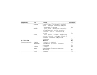 Característica Área Espécies Porcentagem
Aratanha A. ameiva, A. alba, C. meridionalis, D. lessonae, I.
iguana, L. polystegum, P. acutirostris, T. hispidus,
T. semitaeniatus e T. merianae 62,5
Baturité A. ameiva, A. alba, C. meridionalis, D. lessonae, H.
mabouia, I. iguana, M. heathi, M. maximiliani, P.
acutirostris, T. hispi-dus, T. semitaeniatus e T.
merianae 48,0
Araripe A. ameiva, A. pretrei, C. ocellifer, C. meridionalis, D.
lesso-nae, H. mabouia, L. polystegum, M. heathi, M.
maximiliani, P. acutirostris, T. hispidus e T.
semitaeniatus 70,5
SUB-TOTAL 5 16 espécies 42,0
Ibiapaba C. cearensis e L. baturitensis 6,7
Maranguape Amphisbaena sp., C.cearensis,L.baturitensis e
Placosoma sp. 20,0
Aratanha C. cearensis 6,2
Baturité Amphisbaena sp., C.cearensis,L.baturitensis e
Placosoma sp. 16,0
Elementos endêmicos
Araripe M. arajara 5,9
 