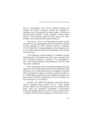 12. Recursos Florais e Sistema de Polinização na Caatinga
527
flores de determinadas cores. Nossos resultados mostram, por
exemplo, que dentre as espécies visitadas por esfingídeos e
morcegos, houve um predomínio de flores brancas. O mesmo foi
observado para beija-flores e flores vermelhas e abelhas médio-
grandes e flores amarelas, apesar de flores dessas cores terem
recebido visitas também de outros animais (Tabela 2).
Tipos florais e simetria - Foi observada uma grande variação
de tipos florais com predominância de flores do tipo disco (abertas)
(25,7%), seguidas por flores tubulosas (22,9%) e estandarte
(15,3%) (Figura 2B). A alta porcentagem de flores estandarte deve-
se ao elevado número de espécies de Leguminosae, onde este tipo
floral predomina.
A alta freqüência de flores tubulosas e estandartes contribui
fortemente para a alta freqüência de flores cuja recompensa floral
não é facilmente exposta aos visitantes, o que correspondeu a
43,1% das espécies estudadas (representadas por flores dos tipos
tubo, goela e estandarte).
Flores actinomorfas foram encontradas na grande maioria das
espécies (61,7%), principalmente devido às flores tubulosas e disco
(juntamente com os tipos câmara, pincel e inconspícuo). Os demais
38,3% correspondem a espécies com flores zigomorfas. Ramirez et
al. (1990) também registraram uma alta freqüência de espécies com
flores radiais (54,6%) em comparação com 12,7% de espécies com
flores irregulares e 32,7% bilaterais.
Tamanho - Ao contrário do esperado, a maioria das espécies
(54,1%) apresentou flores grandes (11,1%) a muito grandes
(43,0%). Espécies com flores pequenas (23,7%) e médias (22,2%)
foram quase que igualmente representadas. Pseudobombax
marginatum (Bombacaceae) e Pilosocereus spp. (Cactaceae) foram
as espécies com flores maiores, enquanto que Thiloa glaucocarpa
 