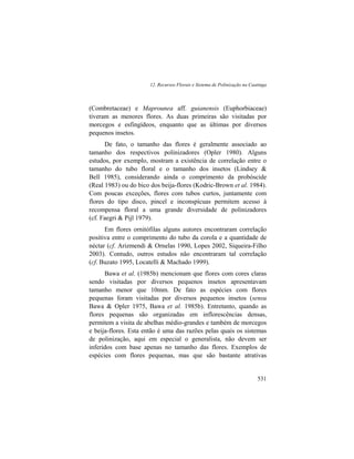 12. Recursos Florais e Sistema de Polinização na Caatinga
531
(Combretaceae) e Maprounea aff. guianensis (Euphorbiaceae)
tiveram as menores flores. As duas primeiras são visitadas por
morcegos e esfingídeos, enquanto que as últimas por diversos
pequenos insetos.
De fato, o tamanho das flores é geralmente associado ao
tamanho dos respectivos polinizadores (Opler 1980). Alguns
estudos, por exemplo, mostram a existência de correlação entre o
tamanho do tubo floral e o tamanho dos insetos (Lindsey &
Bell 1985), considerando ainda o comprimento da probóscide
(Real 1983) ou do bico dos beija-flores (Kodric-Brown et al. 1984).
Com poucas exceções, flores com tubos curtos, juntamente com
flores do tipo disco, pincel e inconspícuas permitem acesso à
recompensa floral a uma grande diversidade de polinizadores
(cf. Faegri & Pijl 1979).
Em flores ornitófilas alguns autores encontraram correlação
positiva entre o comprimento do tubo da corola e a quantidade de
néctar (cf. Arizmendi & Ornelas 1990, Lopes 2002, Siqueira-Filho
2003). Contudo, outros estudos não encontraram tal correlação
(cf. Buzato 1995, Locatelli & Machado 1999).
Bawa et al. (1985b) mencionam que flores com cores claras
sendo visitadas por diversos pequenos insetos apresentavam
tamanho menor que 10mm. De fato as espécies com flores
pequenas foram visitadas por diversos pequenos insetos (sensu
Bawa & Opler 1975, Bawa et al. 1985b). Entretanto, quando as
flores pequenas são organizadas em inflorescências densas,
permitem a visita de abelhas médio-grandes e também de morcegos
e beija-flores. Esta então é uma das razões pelas quais os sistemas
de polinização, aqui em especial o generalista, não devem ser
inferidos com base apenas no tamanho das flores. Exemplos de
espécies com flores pequenas, mas que são bastante atrativas
 
