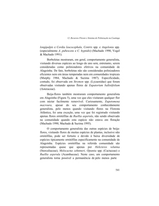 12. Recursos Florais e Sistema de Polinização na Caatinga
541
longipalpis e Cordia leucocephala, Centris spp. e Angelonia spp.
(especialmente A. pubescens e C. hyptidis) (Machado 1990, Vogel
& Machado 1991).
Borboletas mostraram, em geral, comportamento generalista,
visitando diversas espécies ao longo do ano sem, entretanto, serem
consideradas como polinizadores efetivos na comunidade de
Alagoinha. De fato, borboletas não são consideradas polinizadores
eficientes nem em áreas temperadas nem em comunidades tropicais
(Murphy 1984, Machado & Sazima 1987). Especificidade,
contudo, foi observada em Strymon spp. (Lycaenidae) que foram
observadas visitando apenas flores de Eupatorium ballotifolium
(Asteraceae).
Beija-flores também mostraram comportamento generalista
em Alagoinha (Figura 5), uma vez que eles visitaram qualquer flor
com néctar facilmente removível. Curiosamente, Eupetomena
macroura, apesar do seu comportamento conhecidamente
generalista, pelo menos quando visitando flores na Floresta
Atlântica, foi uma exceção, uma vez que foi registrado visitando
apenas flores ornitófilas de Ruellia asperula, não sendo observado
na comunidade quando esta espécie não estava em floração
(Machado 1990, Machado & Sazima 1995).
O comportamento generalista das outras espécies de beija-
flores, visitando flores de muitas espécies de plantas, inclusive não
ornitófilas, pode ser fortuito e devido à baixa diversidade de
espécies tipicamente ornitófilas especificamente na comunidade de
Alagoinha. Espécies ornitófilas na referida comunidade são
representadas quase que apenas por Helicteres velutina
(Sterculiaceae), Melocactus zehntneri, Opuntia spp. (Cactaceae) e
Ruellia asperula (Acanthaceae). Neste caso, um comportamento
generalista torna possível a permanência de pelo menos parte
 