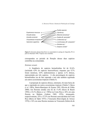 12. Recursos Florais e Sistema de Polinização na Caatinga
543
Figura 5. Interações plantas-beija-flores na comunidade de caatinga de Alagoinha, PE (A
partir de Machado 1990). *Espécies não ornitófilas.
correspondeu ao período de floração dessas duas espécies
ornitófilas na comunidade.
Sistemas sexuais
A freqüência de espécies hermafroditas foi de 83,4%
(incluindo 4,9% de espécies heterostílicas), enquanto que 9,7%
foram monóicas, 4,9% andromonóicas e apenas 2,1% dióicas,
representadas por três espécies. A alta porcentagem de espécies
hermafroditas era de fato esperada e tem sido também registrada
em outros ecossistemas tropicais (Tabela 5).
A proporção de espécies dióicas, entretanto, foi mais baixa do
que a registrada em outros ecossistemas tropicais (Tabela 5, Bawa
et al. 1985a, Ibarra-Manriquez & Oyama 1992, Oliveira & Gibbs
2000). Em florestas úmidas esta foi de 17,4% (Kress & Beach
1994) e 23,1% (Bawa et al. 1985a) na Costa Rica e 26% em uma
floresta na Malásia (Ashton 1969, 1976), alcançando,
respectivamente, 22% e 27,3% em florestas semi-decíduas da Costa
Rica (Bawa & Opler 1975) e Venezuela (Ruiz-Zapata & Arroyo
1978) e 16% em uma floresta montana na Venezuela (Sobrevila &
Eupetomena macroura
Amazilia lactea
Amazilia versicolor
Chrysolampis mosquitus
Hylocharis sapphirina
Ruellia asperula
Opuntia sp.
Melochia tomentosa*
Ruellia aff. paniculata*
Cnidoscolus sp.*
Lonchocarpus aff. campestris*
Nicotiana sp.*
Serjania comata*
•
•
•
•
•
•
•
•
•
•
•
•
•
 