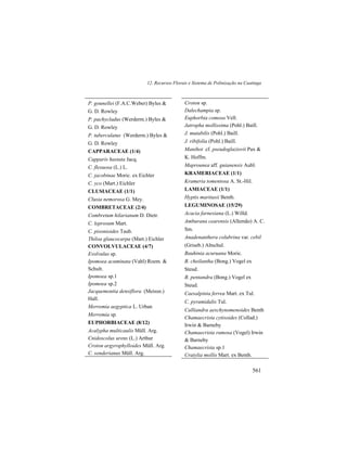 12. Recursos Florais e Sistema de Polinização na Caatinga
561
P. gounellei (F.A.C.Weber) Byles &
G. D. Rowley
P. pachycladus (Werderm.) Byles &
G. D. Rowley
P. tuberculatus (Werderm.) Byles &
G. D. Rowley
CAPPARACEAE (1/4)
Capparis hastata Jacq.
C. flexuosa (L.) L.
C. jacobinae Moric. ex Eichler
C. yco (Mart.) Eichler
CLUSIACEAE (1/1)
Clusia nemorosa G. Mey.
COMBRETACEAE (2/4)
Combretum hilarianum D. Dietr.
C. leprosum Mart.
C. pisonioides Taub.
Thiloa glaucocarpa (Mart.) Eichler
CONVOLVULACEAE (4/7)
Evolvulus sp.
Ipomoea acuminata (Vahl) Roem. &
Schult.
Ipomoea sp.1
Ipomoea sp.2
Jacquemontia densiflora (Meissn.)
Hall.
Merremia aegyptica L. Urban
Merremia sp.
EUPHORBIACEAE (8/12)
Acalypha multicaulis Müll. Arg.
Cnidoscolus urens (L.) Arthur
Croton argyrophylloides Müll. Arg.
C. sonderianus Müll. Arg.
Croton sp.
Dalechampia sp.
Euphorbia comosa Vell.
Jatropha mollissima (Pohl.) Baill.
J. mutabilis (Pohl.) Baill.
J. ribifolia (Pohl.) Baill.
Manihot cf. pseudoglaziovii Pax &
K. Hoffm.
Maprounea aff. guianensis Aubl.
KRAMERIACEAE (1/1)
Krameria tomentosa A. St.-Hil.
LAMIACEAE (1/1)
Hyptis martiusii Benth.
LEGUMINOSAE (15/29)
Acacia farnesiana (L.) Willd.
Amburana cearensis (Allemão) A. C.
Sm.
Anadenanthera colubrina var. cebil
(Griseb.) Altschul.
Bauhinia acuruana Moric.
B. cheilantha (Bong.) Vogel ex
Steud.
B. pentandra (Bong.) Vogel ex
Steud.
Caesalpinia ferrea Mart. ex Tul.
C. pyramidalis Tul.
Calliandra aeschynomenoides Benth
Chamaecrista cytisoides (Collad.)
Irwin & Barneby
Chamaecrista ramosa (Vogel) Irwin
& Barneby
Chamaecrista sp.1
Cratylia mollis Mart. ex Benth.
 