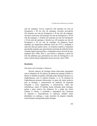 14. Dispersão de Sementes por Formiga
599
solo da caatinga), Croton campestris (40 sementes em solo de
formigueiro e 40 em solo da caatinga), Jatropha gossypfolia
(30 sementes em solo de formigueiro e 30 em solo da caatinga),
Jatropha mollissima (20 sementes em solo de formigueiro e 20 em
solo da caatinga), J. ribifolia (30 sementes em solo de formigueiro
e 30 em solo da caatinga) e Manihot sp. (20 sementes em solo de
formigueiro e 20 em solo da caatinga). Os diásporos foram
mantidos em temperatura ambiente (cerca de 27o
C) e molhadas a
cada dois dias por quatro meses. As sementes controle e tratamento
germinadas (aquelas que apresentaram protrusão da radícula) foram
contadas depois deste período e comparadas através do teste de qui-
quadrado (Zar 1996). Para C. quercifolius o diâmetro a altura do
solo das plântulas que germinaram em solos de formigueiro e em
solos controle foram comparados através do teste t (Zar 1996).
Resultados
Interações entre formigas e diásporos
Dezoito espécies de formigas foram observadas interagindo
com os diásporos de 28 espécies de plantas da caatinga (Tabela 1).
Dentre as famílias de plantas utilizadas pelas formigas destaca-se a
Euphorbiaceae, com 11 espécies (Figuras 1 e 2). As sementes de
Euphorbiaceae possuem elaiossomos, os quais são muito atrativos
para as formigas e característicos da síndrome de dispersão
associada a esses organismos, a mirmecocoria. Além das
euforbiáceas, outras 10 famílias foram utilizadas pelas formigas,
porém a parte atrativa dos diásporos foi a polpa dos frutos
(Tabela 1). Destas, é ressaltada a importância das Cactaceae
(5 espécies) e Anacardiaceae (3 espécies), também muito
abundantes na caatinga, e cujas sementes de pequeno tamanho
foram bastante transportadas pelas formigas.
 