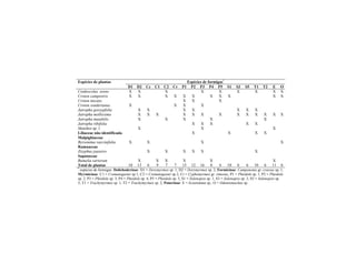 Espécies de formigas*
Espécies de plantas
D1 D2 Cc C1 C2 Cr P1 P2 P3 P4 P5 S1 S3 S5 T1 T2 E O
Cnidoscolus urens X X X X X X X X X
Croton campestris X X X X X X X X X X X
Croton micans X X X
Croton sonderianus X X X X
Jatropha gossypfolia X X X X X X X
Jatropha mollissima X X X X X X X X X X X X X
Jatropha mutabilis X X X X X
Jatropha ribifolia X X X X X
Manihot sp. 1 X X X
Liliaceae não identificada X X X X
Malpighiaceae
Byrsonima vaccinifolia X X X X
Ramnaceae
Zizyphus joazeiro X X X X X X
Sapotaceae
Bumelia sartorum X X X X X X
Total de plantas 10 13 6 9 7 7 15 12 16 8 6 10 6 6 10 6 11 6
*
espécies de formigas: Dolichoderinae: D1 = Dorymyrmex sp. 1, D2 = Dorymyrmex sp. 2, Formicinae: Camponotus gr. crassus sp. 1,
Myrmicinae: C1 = Crematogaster sp 1, C2 = Crematogaster sp 2, Cr = Cyphomyrmex gr. rimosus, P1 = Pheidole sp. 1, P2 = Pheidole
sp. 2, P3 = Pheidole sp. 3, P4 = Pheidole sp. 4, P5 = Pheidole sp. 5, S1 = Solenopsis sp. 1, S3 = Solenopsis sp. 3, S5 = Solenopsis sp.
5, T1 = Trachymyrmex sp. 1, T2 = Trachymyrmex sp. 2, Ponerinae: E = Ectatomma sp., O = Odontomachus sp.
 