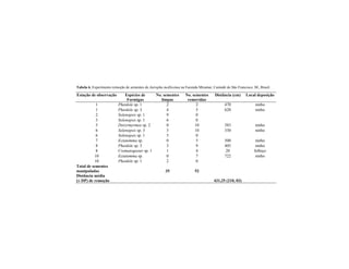 Tabela 6. Experimento remoção de sementes de Jatropha mollissima na Fazenda Miramar, Canindé do São Francisco, SE, Brasil.
Estação de observação Espécies de
Formigas
No. sementes
limpas
No. sementes
removidas
Distância (cm) Local deposição
1 Pheidole sp. 1 2 2 470 ninho
1 Pheidole sp. 3 4 5 620 ninho
2 Solenopsis sp. 1 9 0
3 Solenopsis sp. 1 6 0
5 Doryrmyrmex sp. 2 0 10 383 ninho
6 Solenopsis sp. 3 3 10 330 ninho
6 Solenopsis sp. 1 5 0
7 Ectatomma sp. 0 5 500 ninho
8 Pheidole sp. 3 3 9 405 ninho
8 Crematogaster sp. 1 1 4 20 folhiço
10 Ectatomma sp. 0 7 722 ninho
10 Pheidole sp. 1 2 0
Total de sementes
manipuladas 35 52
Distância média
(± DP) de remoção 431,25 (210, 03)
 
