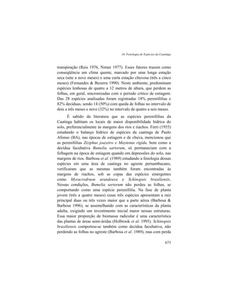16. Fenologia de Espécies da Caatinga
673
transpiração (Reis 1976, Nimer 1977). Esses fatores trazem como
conseqüência um clima quente, marcado por uma longa estação
seca (sete a nove meses) e uma curta estação chuvosa (três a cinco
meses) (Fernandes & Bezerra 1990). Neste ambiente, predominam
espécies lenhosas de quatro a 12 metros de altura, que perdem as
folhas, em geral, sincronizadas com o período crítico de estiagem.
Das 28 espécies analisadas foram registradas 18% perenifólias e
82% decíduas, sendo 14 (50%) com queda de folhas no intervalo de
dois a três meses e nove (32%) no intervalo de quatro a seis meses.
É sabido da literatura que as espécies perenifólias da
Caatinga habitam os locais de maior disponibilidade hídrica do
solo, preferencialmente às margens dos rios e riachos. Ferri (1955)
estudando o balanço hídrico de espécies da caatinga de Paulo
Afonso (BA), nas épocas de estiagem e de chuva, mencionou que
as perenifólias Ziziphus joazeiro e Maytenus rigida, bem como a
decídua facultativa Bumelia sartorum, só permaneciam com a
folhagem na época de estiagem quando em depressões do solo, nas
margens de rios. Barbosa et al. (1989) estudando a fenologia dessas
espécies em uma área de caatinga no agreste pernambucano,
verificaram que as mesmas também foram encontradas às
margens de riachos, sob as copas das espécies emergentes
como Myracrodruon urundeuva e Schinopsis brasiliensis.
Nessas condições, Bumelia sartorum não perdeu as folhas, se
comportando como uma espécie perenifólia. Na fase de planta
jovem (três a quatro meses) essas três espécies apresentam a raiz
principal duas ou três vezes maior que a parte aérea (Barbosa &
Barbosa 1996), se assemelhando com as características da planta
adulta, exigindo um investimento inicial maior nessas estruturas.
Essa maior proporção de biomassa radicular é uma característica
das plantas de áreas semi-áridas (Holbrook et al. 1995). Schinopsis
brasiliensis comportou-se também como decídua facultativa, não
perdendo as folhas no agreste (Barbosa et al. 1989), mas com perda
 