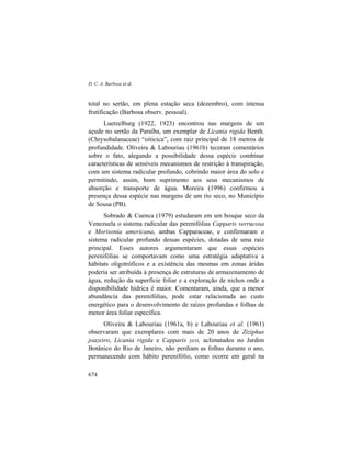 D. C. A. Barbosa et al.
674
total no sertão, em plena estação seca (dezembro), com intensa
frutificação (Barbosa observ. pessoal).
Luetzelburg (1922, 1923) encontrou nas margens de um
açude no sertão da Paraíba, um exemplar de Licania rigida Benth.
(Chrysobalanaceae) “oiticica”, com raiz principal de 18 metros de
profundidade. Oliveira & Labouriau (1961b) teceram comentários
sobre o fato, alegando a possibilidade dessa espécie combinar
características de sensíveis mecanismos de restrição à transpiração,
com um sistema radicular profundo, cobrindo maior área do solo e
permitindo, assim, bom suprimento aos seus mecanismos de
absorção e transporte de água. Moreira (1996) confirmou a
presença dessa espécie nas margens de um rio seco, no Município
de Sousa (PB).
Sobrado & Cuenca (1979) estudaram em um bosque seco da
Venezuela o sistema radicular das perenifólias Capparis verrucosa
e Morisonia americana, ambas Capparaceae, e confirmaram o
sistema radicular profundo dessas espécies, dotadas de uma raiz
principal. Esses autores argumentaram que essas espécies
perenifólias se comportavam como uma estratégia adaptativa a
hábitats oligotróficos e a existência das mesmas em zonas áridas
poderia ser atribuída à presença de estruturas de armazenamento de
água, redução da superfície foliar e a exploração de nichos onde a
disponibilidade hídrica é maior. Comentaram, ainda, que a menor
abundância das perenifólias, pode estar relacionada ao custo
energético para o desenvolvimento de raízes profundas e folhas de
menor área foliar específica.
Oliveira & Labouriau (1961a, b) e Labouriau et al. (1961)
observaram que exemplares com mais de 20 anos de Ziziphus
joazeiro, Licania rigida e Capparis yco, aclimatados no Jardim
Botânico do Rio de Janeiro, não perdiam as folhas durante o ano,
permanecendo com hábito perenifólio, como ocorre em geral na
 