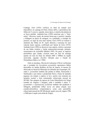 16. Fenologia de Espécies da Caatinga
675
Caatinga. Ferri (1955) verificou no final da estação seca
(dezembro), na caatinga de Paulo Afonso (BA), a persistência das
folhas de Z. joazeiro, quando, nessa época, a maioria das plantas já
as havia perdido. Andrade-Lima (1989) menciona que o “bom-
nome”, Maytenus rigida, da mesma forma que o juazeiro, mantém
a folhagem na época de estiagem, só a perdendo, a exemplo do
juazeiro, no rigor da seca mais intensa. Ferri (1955) ao realizar a
anatomia das folhas de M. rigida detectou a presença de uma
cutícula muito espessa, confirmado por Santos & Grisi (1976).
Andrade-Lima (1989) ao descrever essa espécie, referiu a presença
de um limbo coriáceo e borda espinescente-serreada, portanto,
característica de esclerófila (Medina 1995). No geral, as espécies
perenifólias aqui citadas, ocorrem tanto em área de caatinga
quanto em área de brejo de altitude (800 a 1000m) na região
semi-árida, segundo checklist efetuado para o Estado de
Pernambuco (Sales et al. 1998).
Entre as decíduas, Oliveira & Labouriau (1961a) verificaram
que o exemplar de Caesalpinia pyramidalis apresentava hábito
perenifólio no Jardim Botânico do Rio de Janeiro. O mesmo foi
observado no litoral do Município de Jaboatão dos Guararapes, PE,
onde C. pyramidalis também não perdeu as folhas, florescendo e
frutificando o ano inteiro e produzindo flores e frutos de tamanho
pequeno em relação a espécie in loco, porém com sementes de
tamanho normal e bem estruturadas (observação pessoal de
DCAB). Nas margens da represa da Usina Hidroelétrica de Xingó
(estados de Alagoas e Sergipe), onde a umidade é maior, C.
pyramidalis e Aspidosperma pyrifolium também não perderam a
folhagem, produzindo folhas novas em plena estação seca
(outubro-dezembro), comportando-se como uma perenifólia
(observação pessoal de DCAB durante quatro anos de viagens 1996
a 2000 para a região semi-árida de Xingó).
 