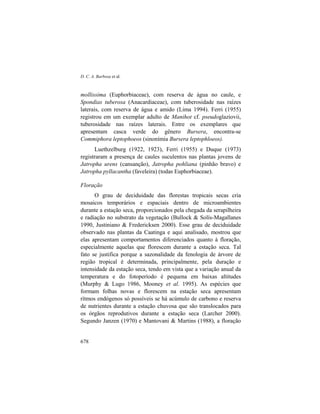 D. C. A. Barbosa et al.
678
mollissima (Euphorbiaceae), com reserva de água no caule, e
Spondias tuberosa (Anacardiaceae), com tuberosidade nas raízes
laterais, com reserva de água e amido (Lima 1994). Ferri (1955)
registrou em um exemplar adulto de Manihot cf. pseudoglaziovii,
tuberosidade nas raízes laterais. Entre os exemplares que
apresentam casca verde do gênero Bursera, encontra-se
Commiphora leptophoeos (sinonímia Bursera leptophloeos).
Luethzelburg (1922, 1923), Ferri (1955) e Duque (1973)
registraram a presença de caules suculentos nas plantas jovens de
Jatropha urens (cansanção), Jatropha pohliana (pinhão bravo) e
Jatropha pyllacantha (faveleira) (todas Euphorbiaceae).
Floração
O grau de deciduidade das florestas tropicais secas cria
mosaicos temporários e espaciais dentro de microambientes
durante a estação seca, proporcionados pela chegada da serapilheira
e radiação no substrato da vegetação (Bullock & Solís-Magallanes
1990, Justiniano & Fredericksen 2000). Esse grau de deciduidade
observado nas plantas da Caatinga e aqui analisado, mostrou que
elas apresentam comportamentos diferenciados quanto à floração,
especialmente aquelas que florescem durante a estação seca. Tal
fato se justifica porque a sazonalidade da fenologia de árvore de
região tropical é determinada, principalmente, pela duração e
intensidade da estação seca, tendo em vista que a variação anual da
temperatura e do fotoperíodo é pequena em baixas altitudes
(Murphy & Lugo 1986, Mooney et al. 1995). As espécies que
formam folhas novas e florescem na estação seca apresentam
rítmos endógenos só possíveis se há acúmulo de carbono e reserva
de nutrientes durante a estação chuvosa que são translocados para
os órgãos reprodutivos durante a estação seca (Larcher 2000).
Segundo Janzen (1970) e Mantovani & Martins (1988), a floração
 