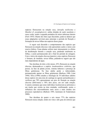 16. Fenologia de Espécies da Caatinga
681
espécies floresceram na estação seca, Jatropha mollissima e
Manihot cf. pseudoglaziovii, ambas dotadas de caule suculento e
casca verde, sendo a segunda portadora de raízes tuberosas laterais
(Ferri 1955). Diante dos fatos aqui discutidos, pode-se deduzir que
essas adaptações serviram para antecipar o período de floração e
formação de novas folhas nas espécies desse grupo.
A seguir será discutido o comportamento das espécies que
florescem na estação chuvosa e não apresentam caules e raízes com
reserva hídrica. Essas plantas sofrem mais intensamente os efeitos
da desidratação durante a estação seca, perdendo totalmente as
folhas, e assim permanecendo até o final do período de estiagem.
Com o início da estação chuvosa (janeiro), estas espécies florescem
e formam, de imediato, novas folhas, podendo-se sugerir que são
mais dependentes da água.
Nas decíduas de dois a três meses, 43% florescem na estação
chuvosa, destacando-se a espécie Anadenanthera colubrina, que
possui, na fase de planta jovem, sistema tuberoso e presença de
fibras gelatinosas. Na fase adulta perde a tuberosidade,
permanecendo apenas as fibras gelatinosas (Barbosa 1980, Lima
1994). Silva (1998) estudou a fenologia de 10 indivíduos adultos
dessa espécie em uma área de caatinga no agreste pernambucano e
verificou que 70% apresentaram um pico de floração na estação
chuvosa (abril-maio) e 30% dois picos, um em cada estação.
A autora constatou que esses indivíduos localizavam-se próximos a
um riacho que existia na área estudada, confirmando, assim, a
influência dos microambientes mais secos e mais úmidos nos
processos reprodutivos (Bullock 1995, Justiniano & Fredericksen
2000).
Nas decíduas de quatro a seis meses 77% das espécies
florescem nessa estação, tendo em vista o alto grau de estresse que
 