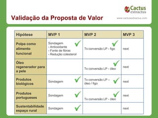 Validação da Proposta de Valor                                    www.cactusextractus.com
                                                                cactusextractus.blogspot.com




 Hipótese           MVP 1                  MVP 2                       MVP 3

 Polpa como         Sondagem
                    - Antioxidante
 alimento                                  Tx conversão LP - figo      next
                    - Fonte de fibras
 funcional          - Redução colesterol

 Óleo
 regenerador para                          Tx conversão LP - óleo
                                                                       next
 a pele

 Produtos                                  Tx conversão LP –
                    Sondagem                                           next
 biológicos                                óleo / figo


 Produtos
                    Sondagem                                           next
 portugueses                               Tx conversão LP - óleo

 Sustentabilidade
                    Sondagem                                           next
 espaço rural
 
