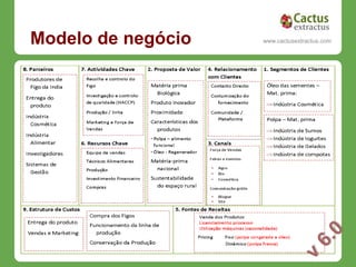 Modelo de negócio     www.cactusextractus.com
                    cactusextractus.blogspot.com
 