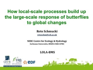 How local-scale processes build up
the large-scale response of butterflies
to global changes
Reto Schmucki
retoschm@ceh.ac.uk
NERC Centre for Ecology & Hydrology
Sorbonne Universités, MNHN-CNRS-UPMC
LOLA-BMS
 