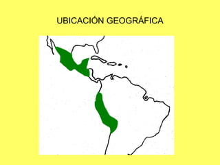 UBICACIÓN GEOGRÁFICA
 