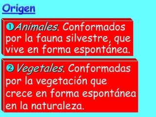 Animales. Conformados
por la fauna silvestre, que
vive en forma espontánea.
Vegetales. Conformadas
por la vegetación que
crece en forma espontánea
en la naturaleza.