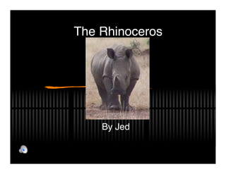The Rhinoceros




    By Jed
 