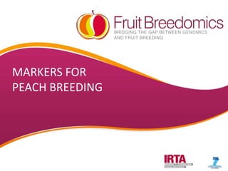 MARKERS FOR
PEACH BREEDING

YOUR LOGO

 