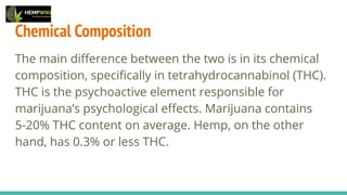 weed dispensary uk