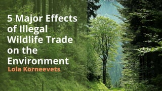 5 Major Effects
of Illegal
Wildlife Trade
on the
Environment
Lola Korneevets
 