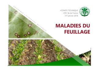 MALADIES DU
FEUILLAGE
•COMITE TECHNIQUE
•ITB Ile de France
•17 janvier 2018
 