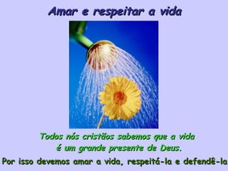 Todos nós cristãos sabemos que a vida é um grande presente de Deus.  Por isso devemos amar a vida, respeitá-la e defendê-la. Amar e respeitar a vida 