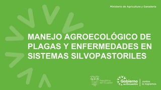 MANEJO AGROECOLÓGICO DE
PLAGAS Y ENFERMEDADES EN
SISTEMAS SILVOPASTORILES
 