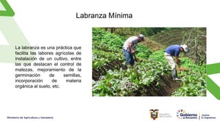 Labranza Mínima
La labranza es una práctica que
facilita las labores agrícolas de
instalación de un cultivo, entre
las que destacan el control de
malezas, mejoramiento de la
germinación de semillas,
incorporación de materia
orgánica al suelo, etc.
 