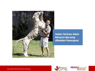 19Copy right © 2011 by Prestasi Indonesia
 