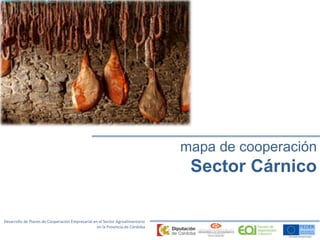 Desarrollo de Planes de Cooperación Empresarial en el Sector Agroalimentario 
en la Provincia de Córdoba 
mapa de cooperación 
Sector Cárnico 
 